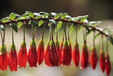 广州番禺区1私人快速借钱网，轻松解决资金难题