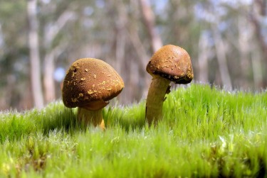 广州番禺区1私人老板放款：轻松融资的秘密通道